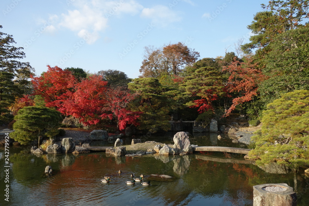 Fototapeta premium 桂離宮