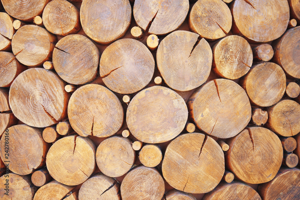 Trees cut section for background texture. Background texture of dry firewood logs stacked Trees cut section for background texture. Background texture of dry firewood logs stacked