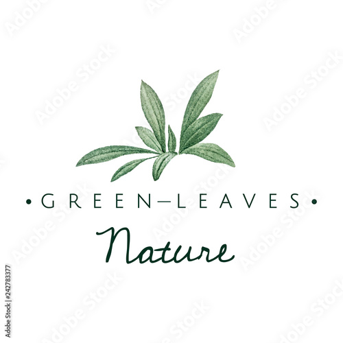 Green leaves nature logo vector