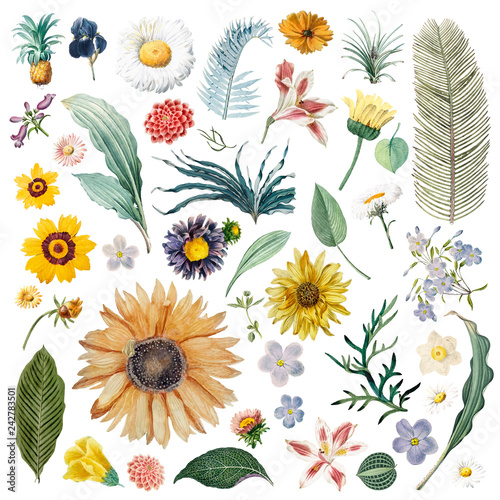 Floral background pattern illustration