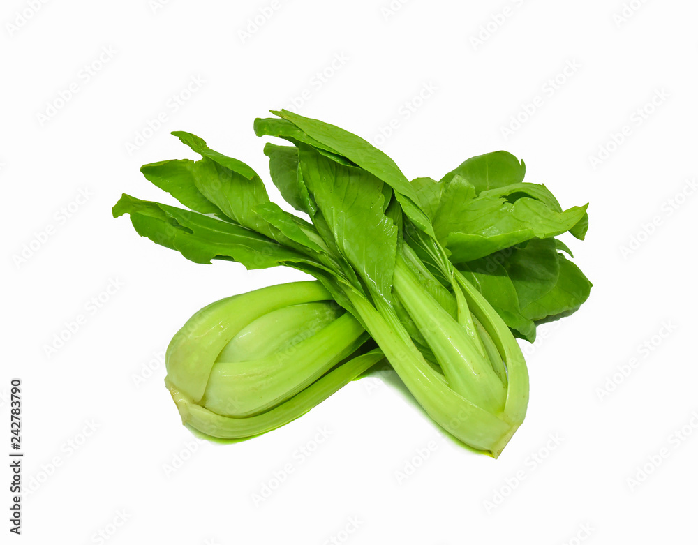 bok choy isolated fresh green bok choy vegetable or chinese cabbage isolated on white bok choy isolated fresh green bok choy vegetable or chinese cabbage isolated on white