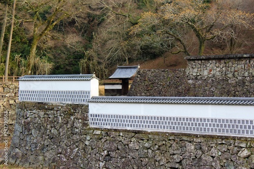 A fortress at the site of Hitoyoshi Castle in Japan photo