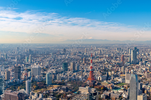 東京タワーと富士山の空撮