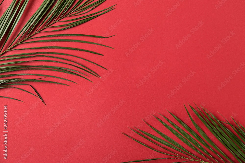 Fototapeta Green palm leaves on color background