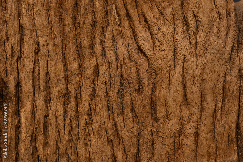 old wood background texture. old wood background texture.