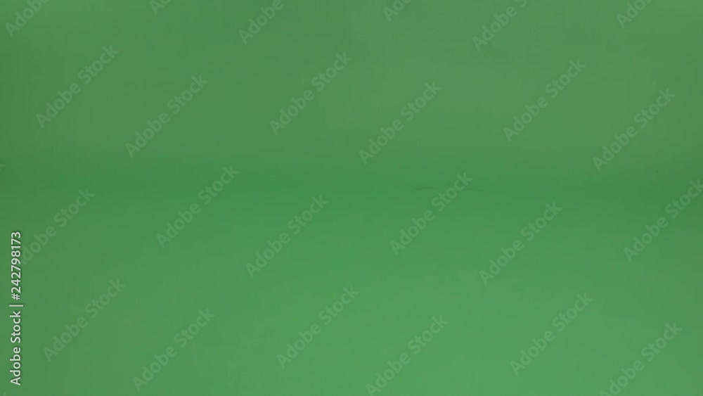 Adorable Bulldog Frances in a different poses on a green screen