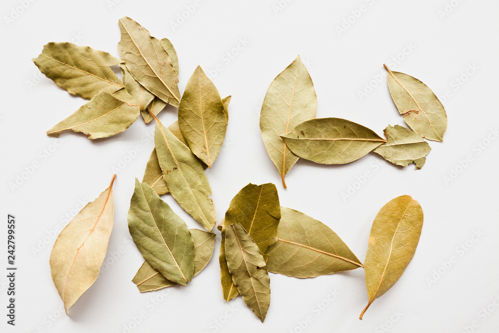 Isolated Bay leaves