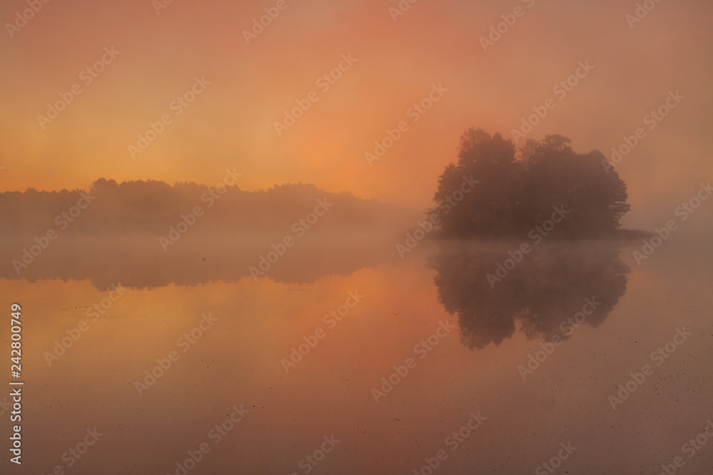Naklejka premium Foggy morning landscape. Sunrise lake.