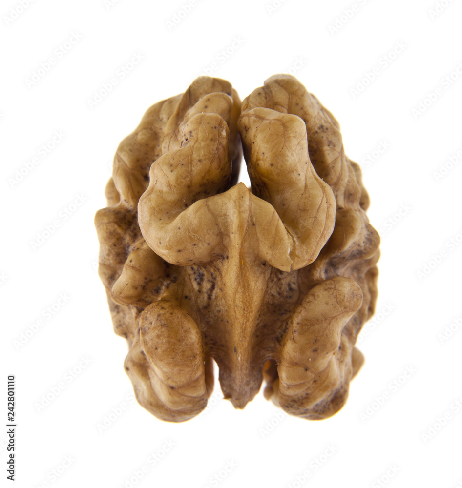 walnut kernels isolated on white background walnut kernels isolated on white background