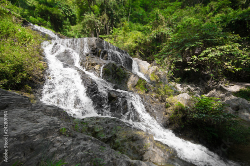 waterfall in forest