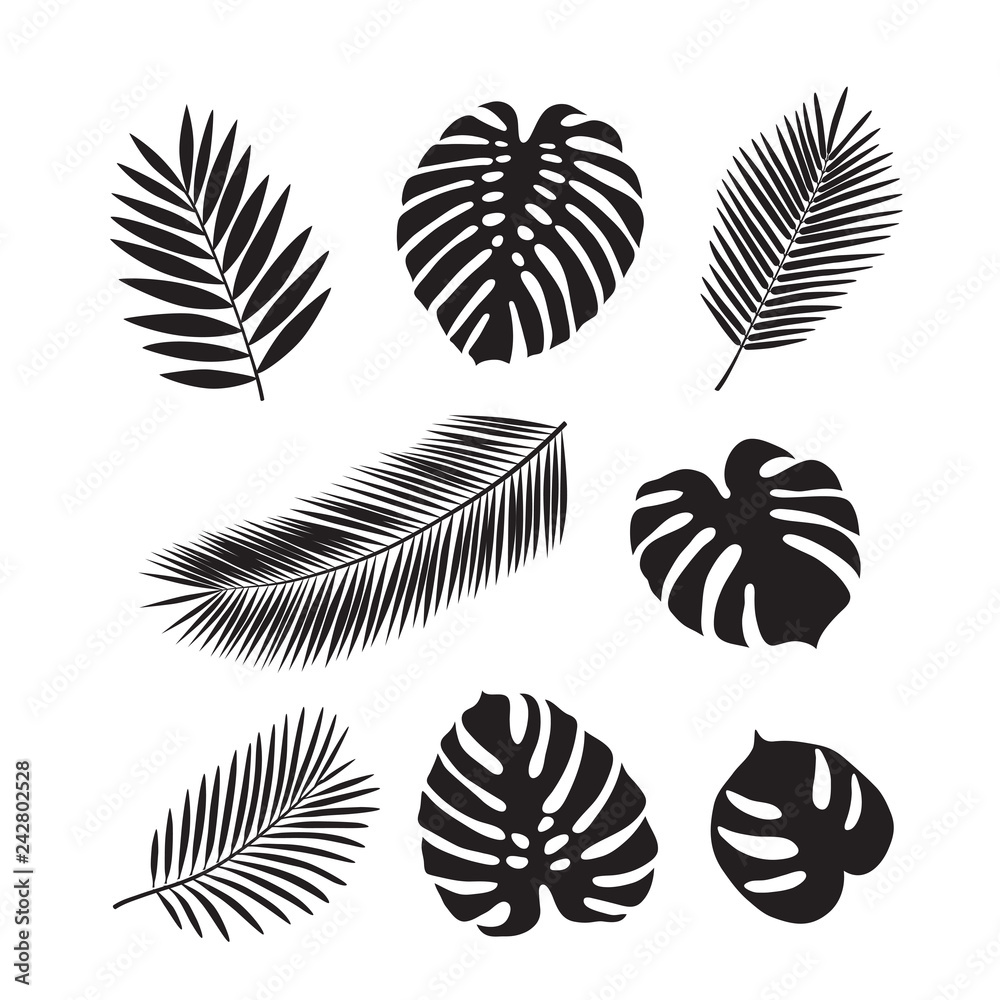 Naklejka premium Set of tropical leaves. Isolated black silhouettes of leaves on a white background. Sketch, design elements. Vector.