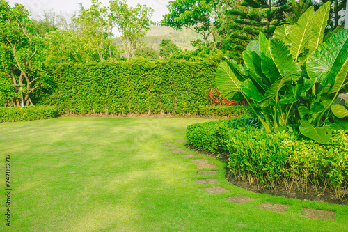 Landscape formal, Front yard is beautifully designed garden , Green grass with bush gardening.