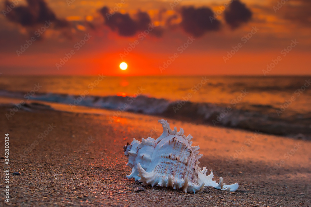 sunset, sea sunset, sea