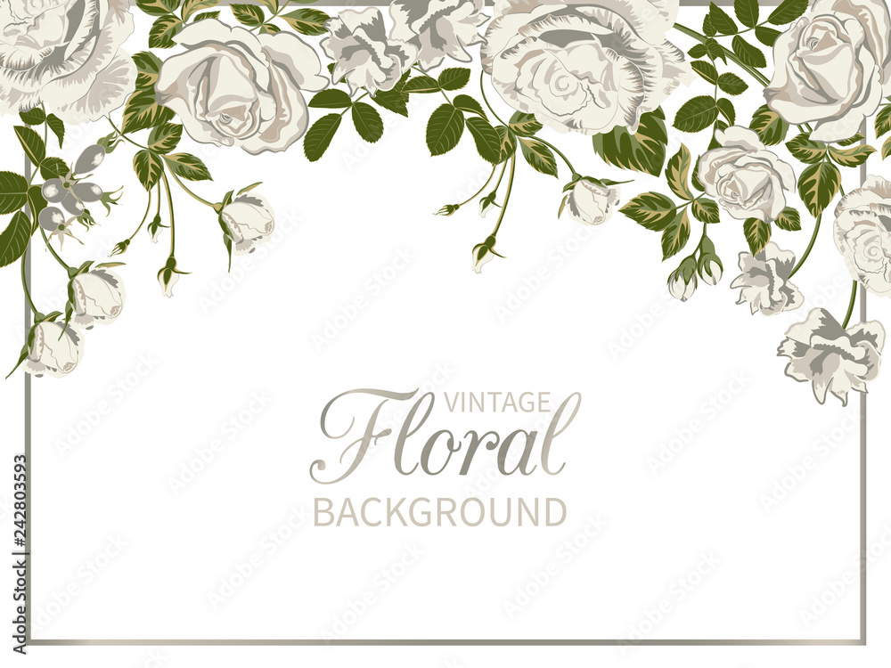 vintage floral background with frame of white roses