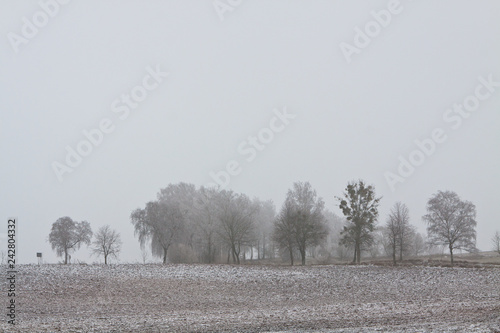 Wallpaper Mural Beautiful snow winter landscape.Winter landscape. Torontodigital.ca
