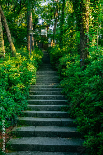 Steps between trees leading to house on hill  near West Lake  in Hangzhou  China