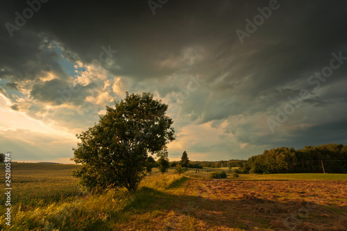 Green field and blue sky landscape