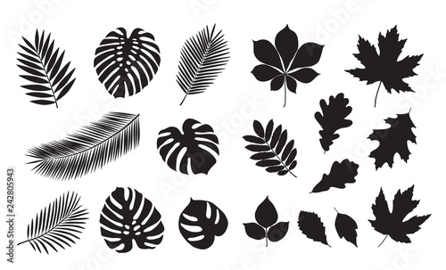 Big set of summer leaves. Isolated black silhouettes of leaves on a white background. Sketch, design elements. Vector.