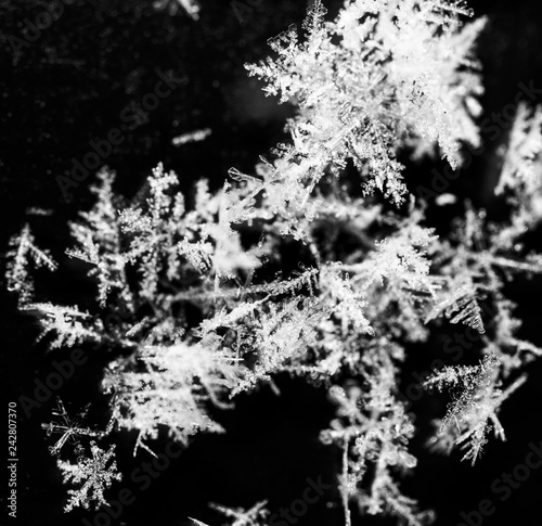 White snowflakes on a white background