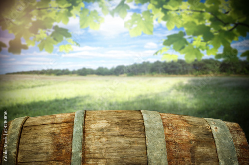 Barrel background of free space for your decoration and landscape of Tuscany 