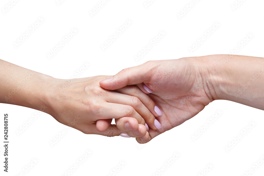 Man holding a female hand, isolated on white background Man holding a female hand, isolated on white background