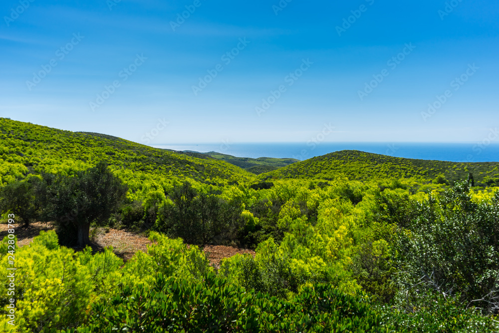Greece, Zakynthos, Amazing beautiful green hilly nature landscape and blue ocean horizon