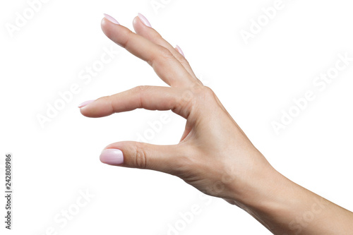 Female hand holding or showing something small, isolated on white background photo