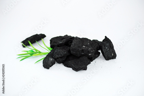 Węgiel kamienny z rośliną © killy007