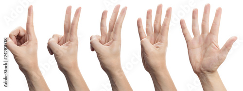 Hands showing number signs from 1 to 5, isolated on white background