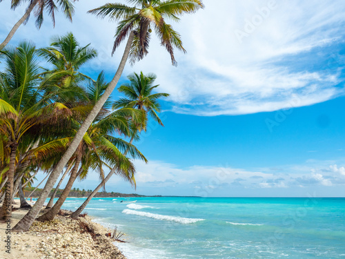 Beautibul tropical beach Saona, bounty in Punta Cana