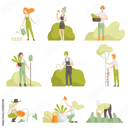 People caring for plants in the garden set, men and women, watering plants, growing agricultural products vector Illustration