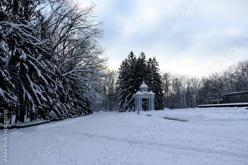 winter in the park