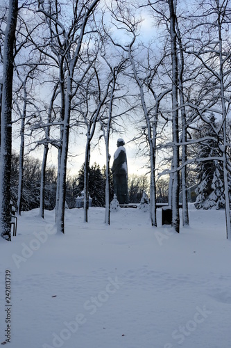 winter in the park