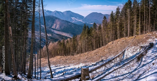 View at winter mountains with green trees