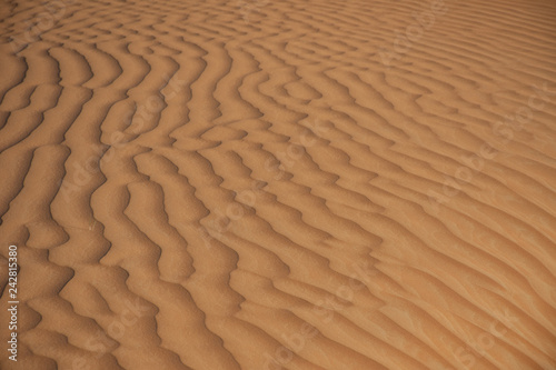 The design of the rippling textured sand dunes background in the beautiful sunshine in the United Arab Emirates.