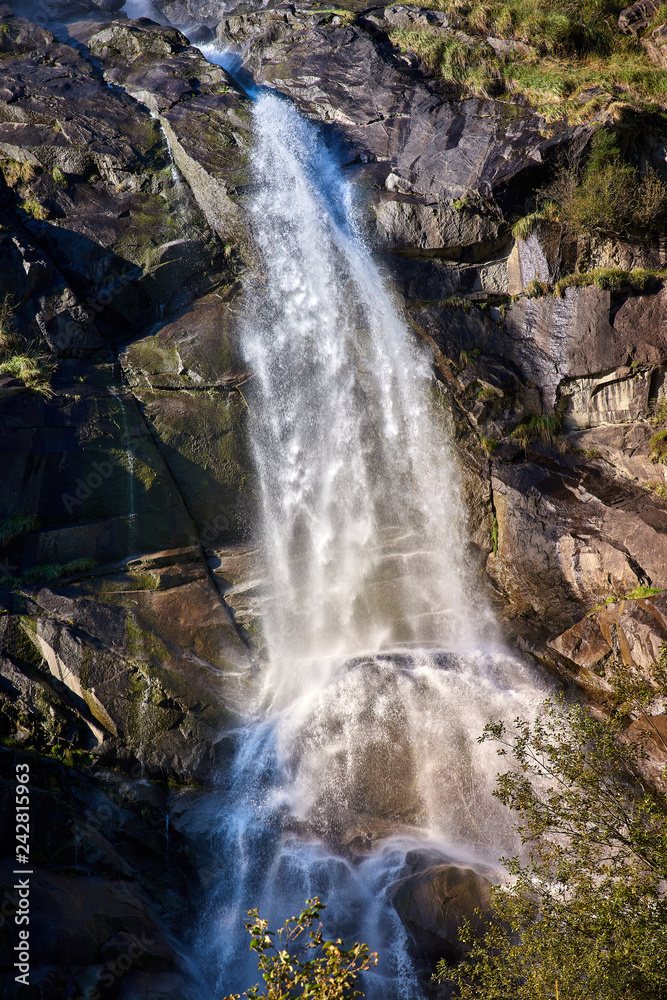 Obraz premium Nardis waterfalls in Val di Genova near Pinzolo in the summertime, Adamello-Brenta Natural Park in the northern Italy