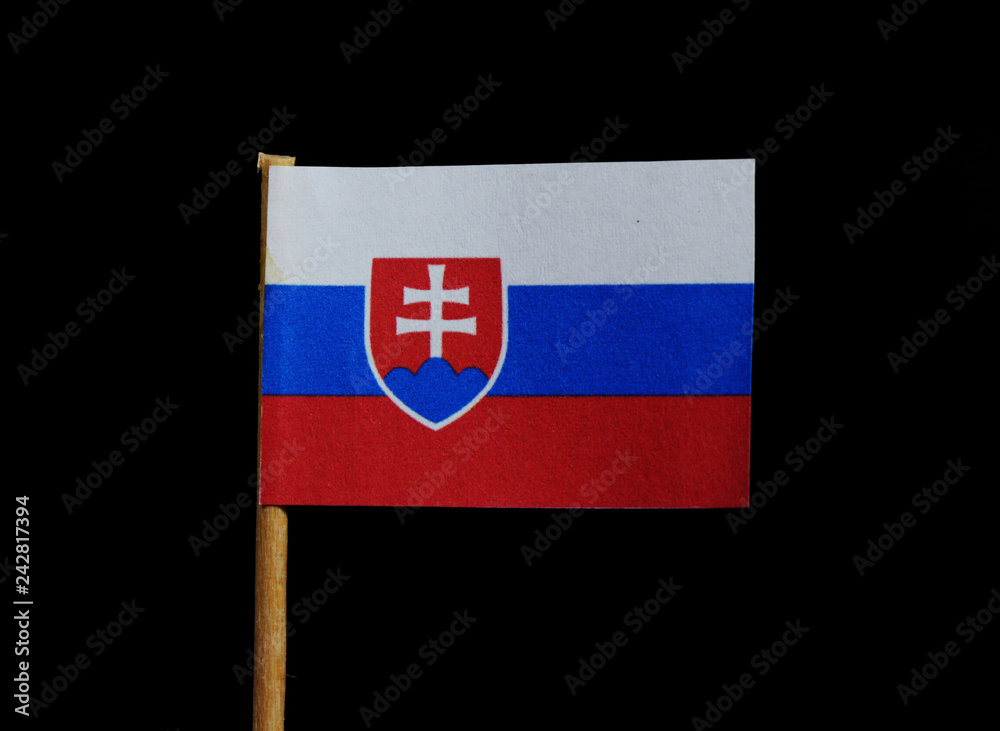 Ungdom indvirkning Monet A official flag of Slovakia on toothpick on black background. .A horizontal  tricolor of white, blue,