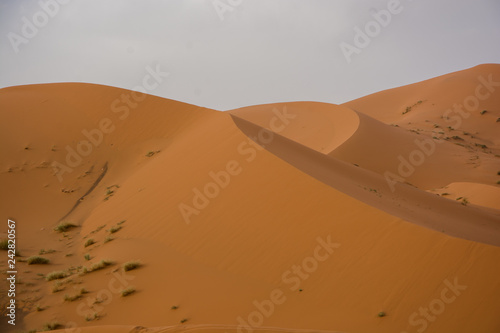Preciosas formas de arena en el desierto