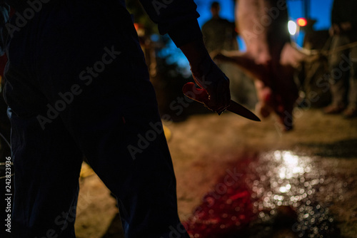 Man with knife in pig slaughter