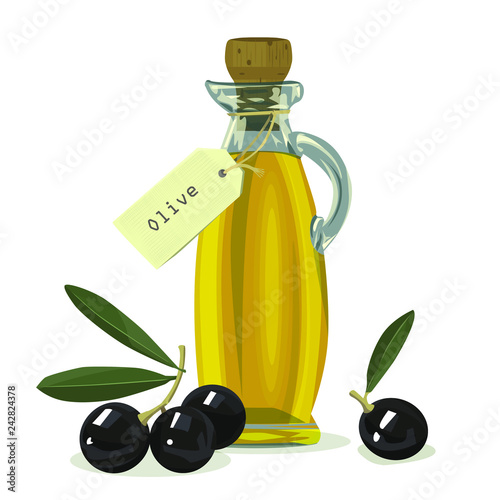 Bottle of olive oil and branch of olives, vector. 