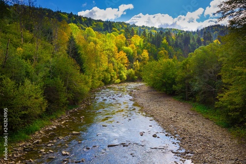 Fototapeta Naklejka Na Ścianę i Meble -  Beautiful mountain river in Bieszczady mountains