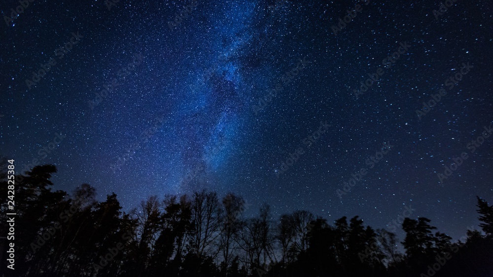 Beautiful night sky with Milky Way over forest.