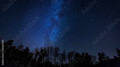 Beautiful night sky with Milky Way over forest.