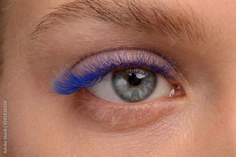 Fototapeta premium eyelash extensions. blue eyelashes. eye close up
