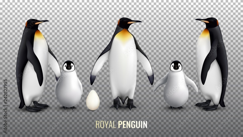 Obraz premium Royal Penguin Realistic Set 