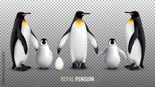 Royal Penguin Realistic Set 