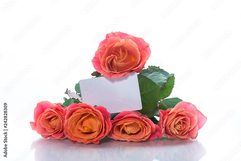 bouquet of beautiful pink roses isolated on white bouquet of beautiful pink roses isolated on white