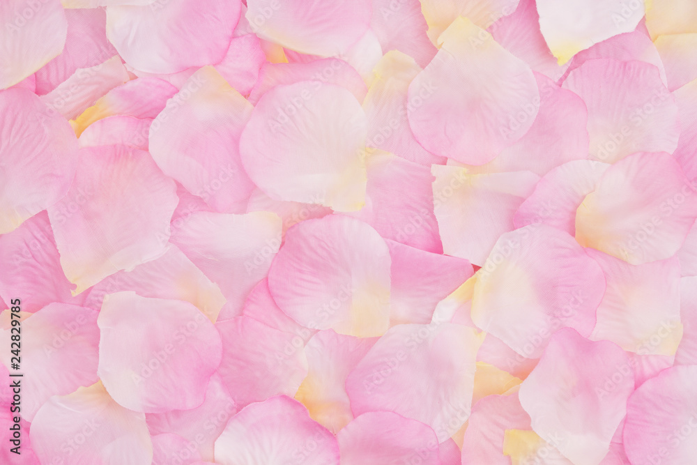 Love background with a pink rose flower petals