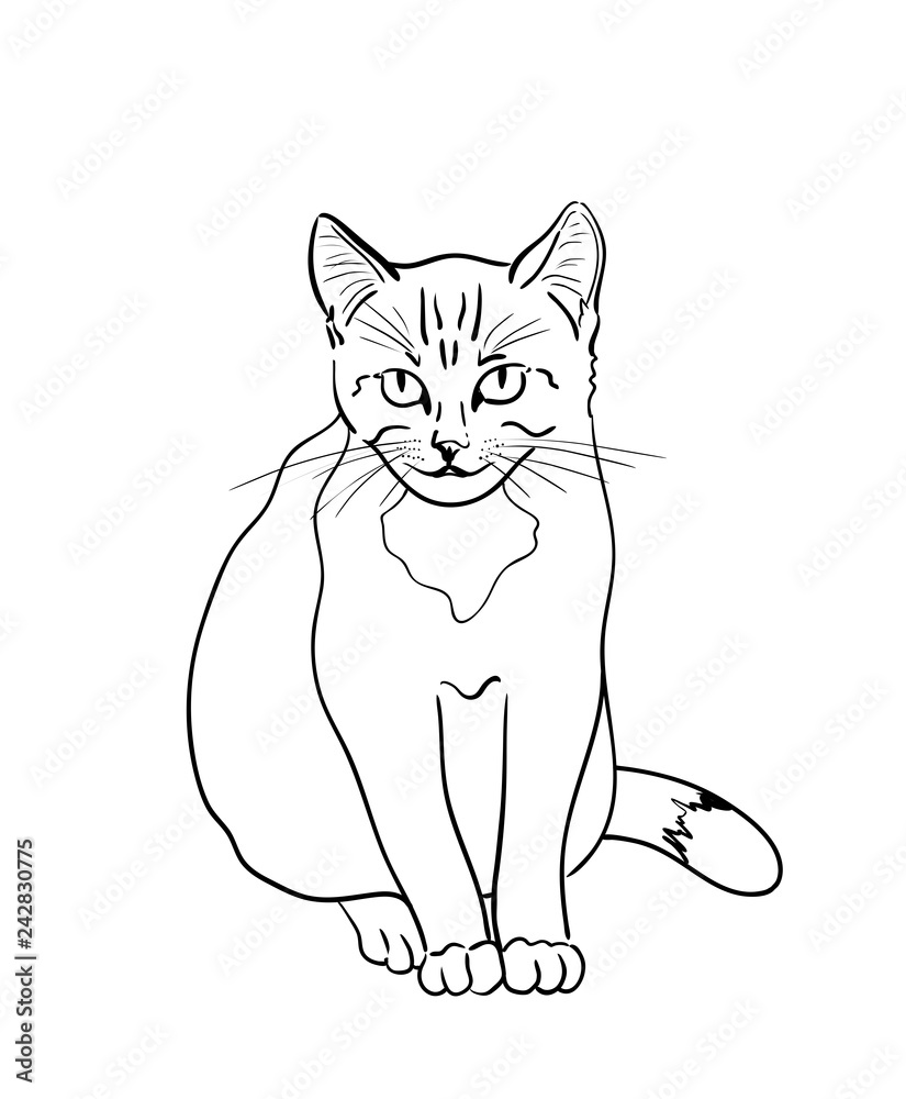 Cat on the white background.  Sketchy flat style. Vector hand drawn graphic illustration. 