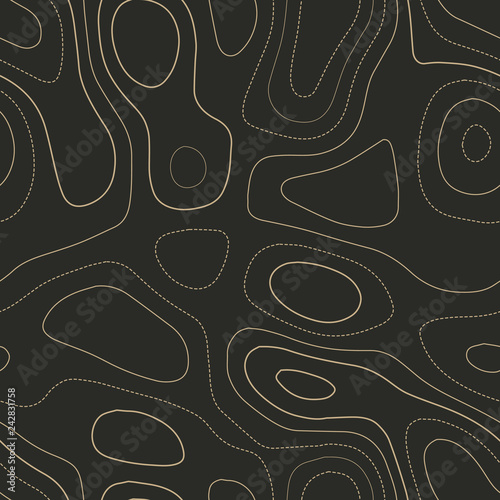 Topographic map lines. Admirable topography map. Seamless design. Exceptional tileable isolines pattern, vector illustration.